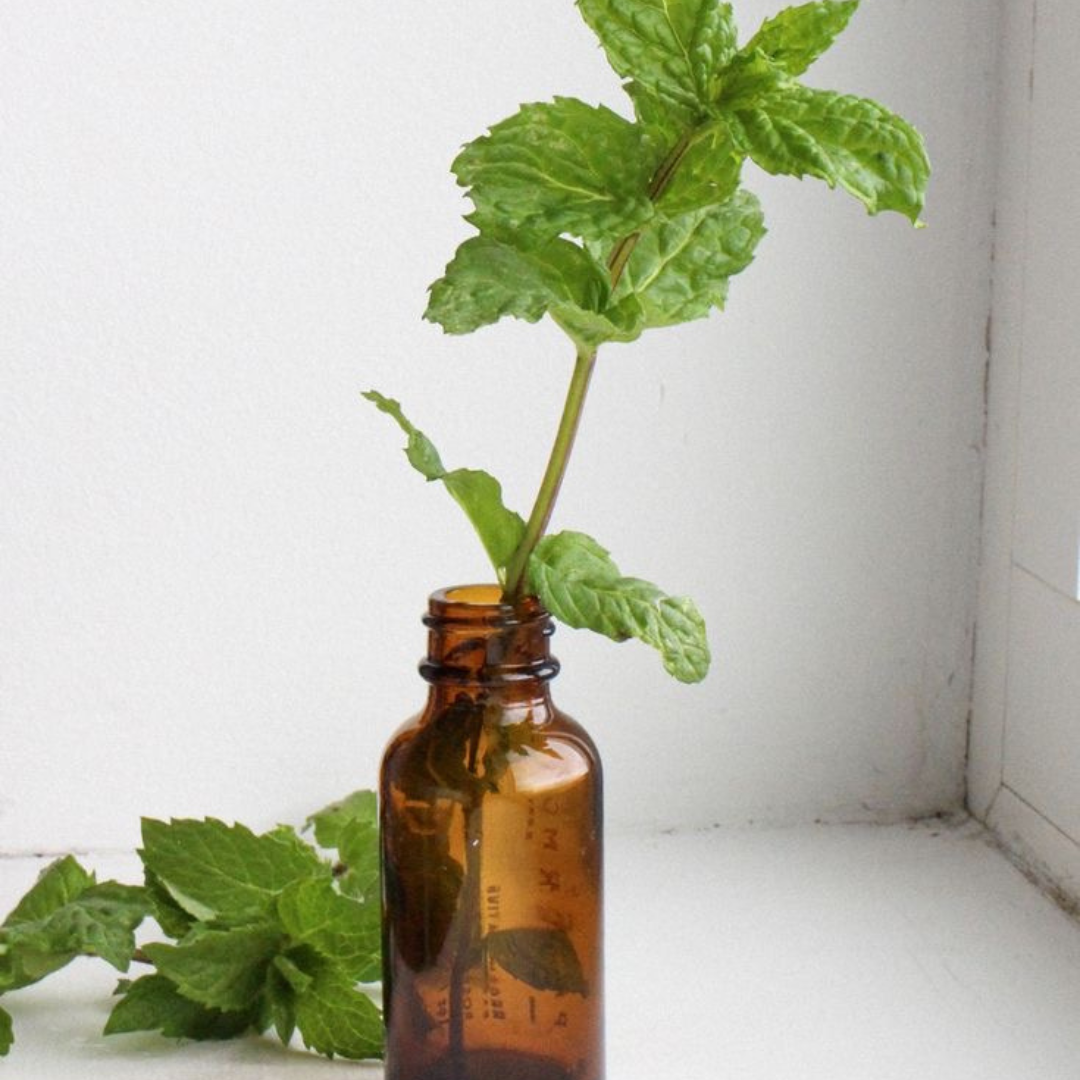 Image of peppermint oil for higher density hair a.k.a fuller and thicker natural hair.